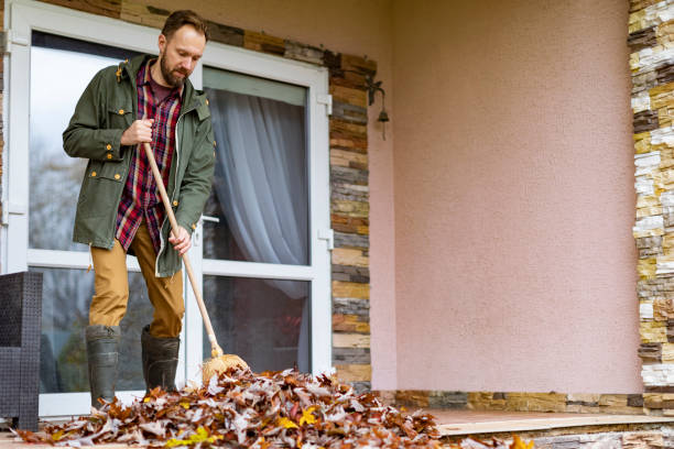 Yard Cleanup Services in Cabazon, CA